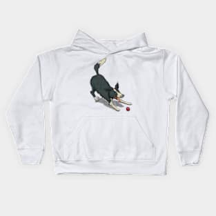 Border Collie Kids Hoodie